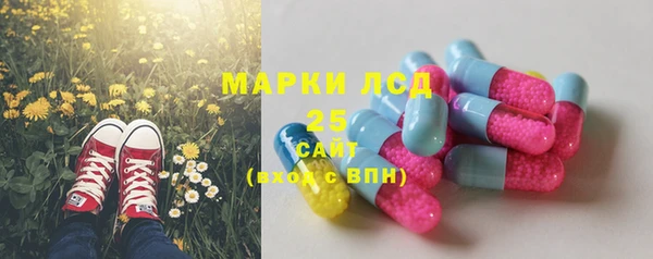 ECSTASY Балахна