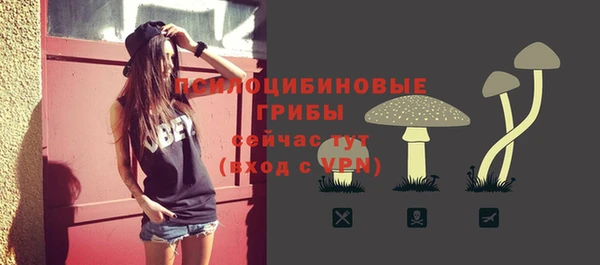 ECSTASY Балахна