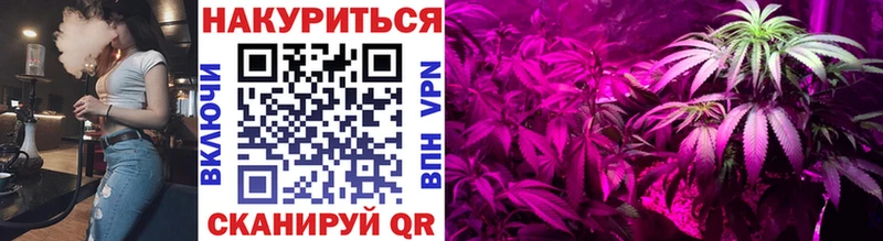 цена   Ветлуга  Марихуана сатива 
